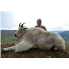 Image 3 : 12- DAY MOUNTAIN GOAT OR CARIBOU HUNT IN BRITISH COLUMBIA FOR 1 HUNTER