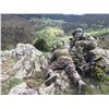 Image 4 : 5 - DAY IBERIAN MOUFLON SHEEP HUNT FOR 1 HUNTER AND 1 NON-HUNTER