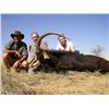 Image 2 : 3 - DAY SOUTH AFRICAN SABLE HUNT FOR 1 HUNTER