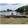 Image 1 : TH-01 Trophy Alligator Hunt, Florida