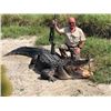 Image 2 : TH-01 Trophy Alligator Hunt, Florida