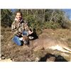 TH-03 Youth Whitetail Deer (High Fence) and Hog Hunt, Texas