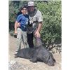 Image 2 : TH-03 Youth Whitetail Deer (High Fence) and Hog Hunt, Texas