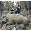 Image 2 : TH-07 Archery Whitetail Deer/Hog Hunt, Oklahoma
