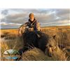 Image 2 : TH-23 Black Bear Hunt for Two Bears, Newfoundland