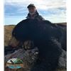 Image 3 : TH-23 Black Bear Hunt for Two Bears, Newfoundland