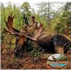Image 7 : TH-23 Black Bear Hunt for Two Bears, Newfoundland