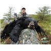 Image 8 : TH-23 Black Bear Hunt for Two Bears, Newfoundland