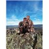 Image 2 : TH-29 European Mouflon Hunt, Spain