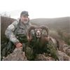 Image 4 : #FR-06 European Mouflon Hunt, Spain