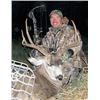 Image 2 : #FR-09 Mountain Mule Deer Hunt, Alberta