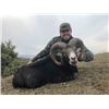 Image 4 : #FR-21 European Mouflon Hunt, Macedonia