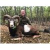 Image 5 : #FR-21 European Mouflon Hunt, Macedonia