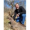 Image 2 : #FR-23 Red Stag Hunt, Spain with GSCO Executive Director Mark Hampton