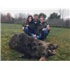 Image 9 : #FR-23 Red Stag Hunt, Spain with GSCO Executive Director Mark Hampton