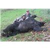Image 2 : #FR-24 Black Bear/Columbia Blacktail Combo Hunt, Oregon