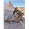 Image 2 : #FR-26 Desert Sheep (Nelsoni) Tag, Navajo Nation