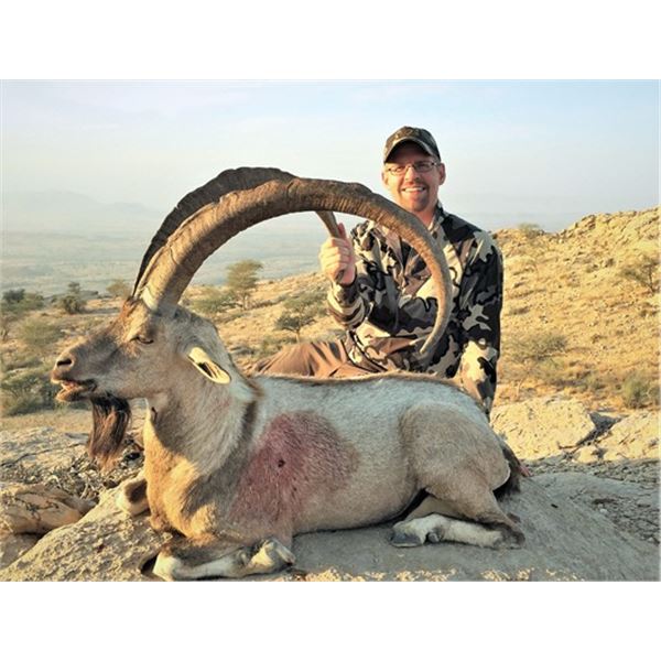 #FR-27 Sindh Ibex Hunt, Pakistan