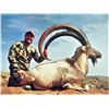 Image 3 : #FR-27 Sindh Ibex Hunt, Pakistan