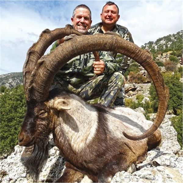 #FR-29 Anatolian (Bezoar) Ibex Hunt, Turkey