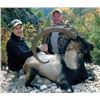 Image 2 : #FR-29 Anatolian (Bezoar) Ibex Hunt, Turkey