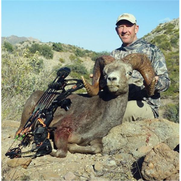 #FR-30 Desert Bighorn (Weemsi) Sheep Hunt, Carmen Island, Mexico