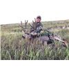 Image 1 : #SA-05 Youth Mule Deer Hunt, Colorado