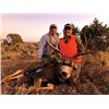 Image 2 : #SA-05 Youth Mule Deer Hunt, Colorado
