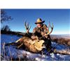 Image 3 : #SA-05 Youth Mule Deer Hunt, Colorado
