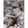 Image 1 : #SA-20 Dagestan (Eastern) Tur Hunt, Russia