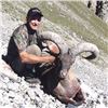 Image 2 : #SA-20 Dagestan (Eastern) Tur Hunt, Russia