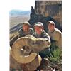 Image 1 : #SA-21 Nelsoni Desert Bighorn Hunt, Texas