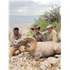 Image 2 : #SA-21 Nelsoni Desert Bighorn Hunt, Texas