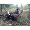 #SA-29 Wyoming Shiras Moose Governor’s Permit