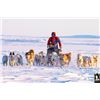 Image 2 : #SA-30 Polar Bear Hunt, Nunavut