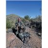 Image 2 : #SA-31 Desert Sheep (Mexicana) Hunt, Mexico
