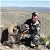 Image 4 : #SA-31 Desert Sheep (Mexicana) Hunt, Mexico