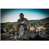 Image 8 : #SA-31 Desert Sheep (Mexicana) Hunt, Mexico