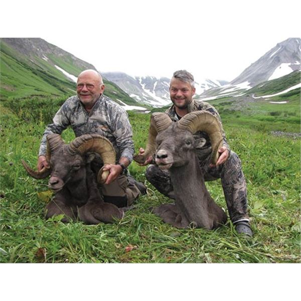 #SLA-06 Kamchatka Snow Sheep AND Bear Combo Hunt, Russia