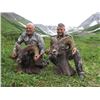 Image 1 : #SLA-06 Kamchatka Snow Sheep AND Bear Combo Hunt, Russia