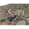 Image 2 : #SLA-06 Kamchatka Snow Sheep AND Bear Combo Hunt, Russia