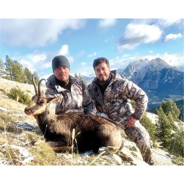 #SLA-21 Pyrenean Chamois Hunt, Spain