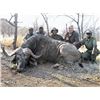 Image 2 : #SLA-24 Giraffe and Buffalo Hunt, South Africa