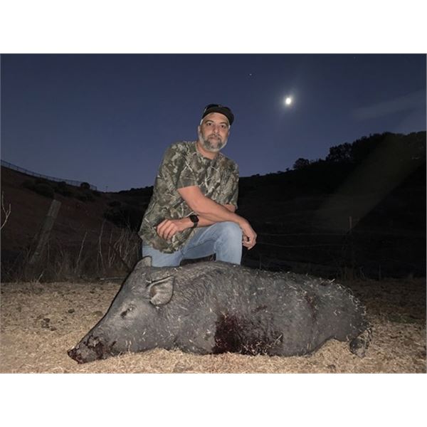 #SLA-29 Hog Hunt, California