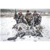 #SLA-30 Wolf and Coyote Hunt, Alberta (Over Bait)