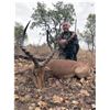 Image 1 : #SLA-34 South Africa Safari for Two Hunters