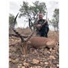 #SLA-34 South Africa Safari for Two Hunters