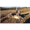 Image 1 : #SLA-37 Whitetail Deer Hunt, Kansas