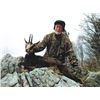 Image 2 : #SLA-40 Balkan Chamois and Mouflon Sheep Hunt, Croatia