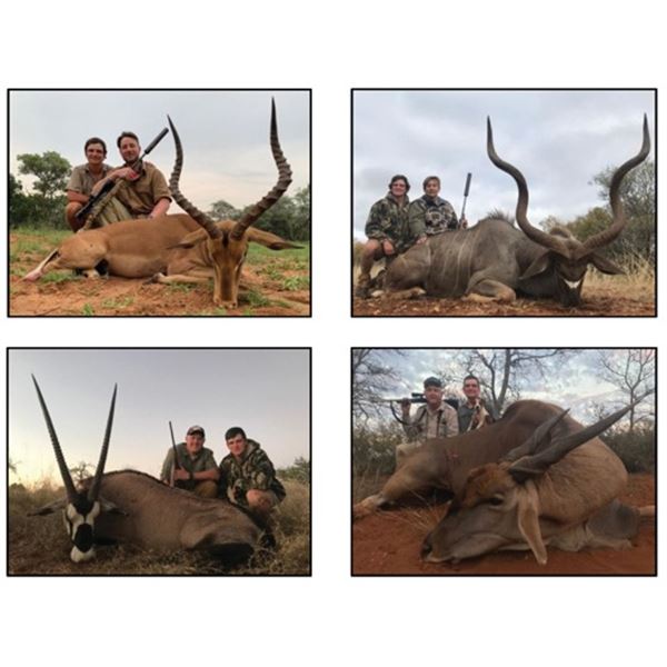 #SLA-44 South Africa Safari for FOUR Hunters